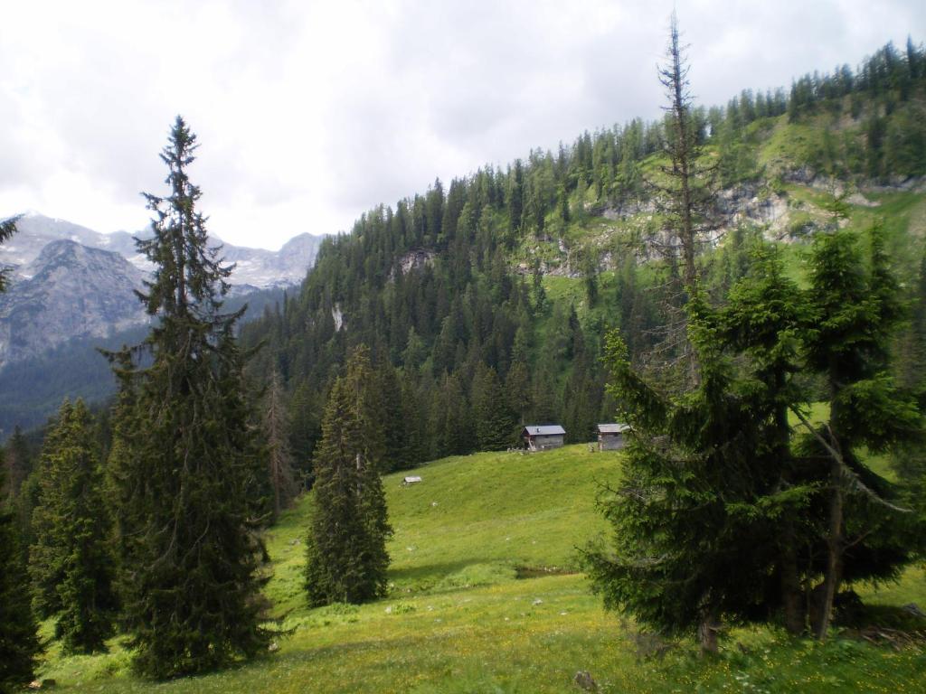 Haus Bergblick Apartamento Obertraun Exterior foto